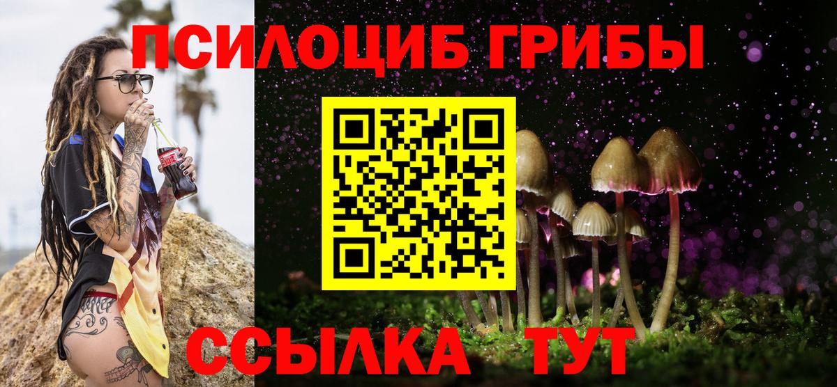 Псилоцибиновые грибы Psilocybine cubensis  Псилоцибиновые грибы прущие грибы  даркнет сайт  Вологда  Вход с VPN 